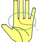 手相の見方 感情線が人差し指と中指の間に伸びる手相 人間関係