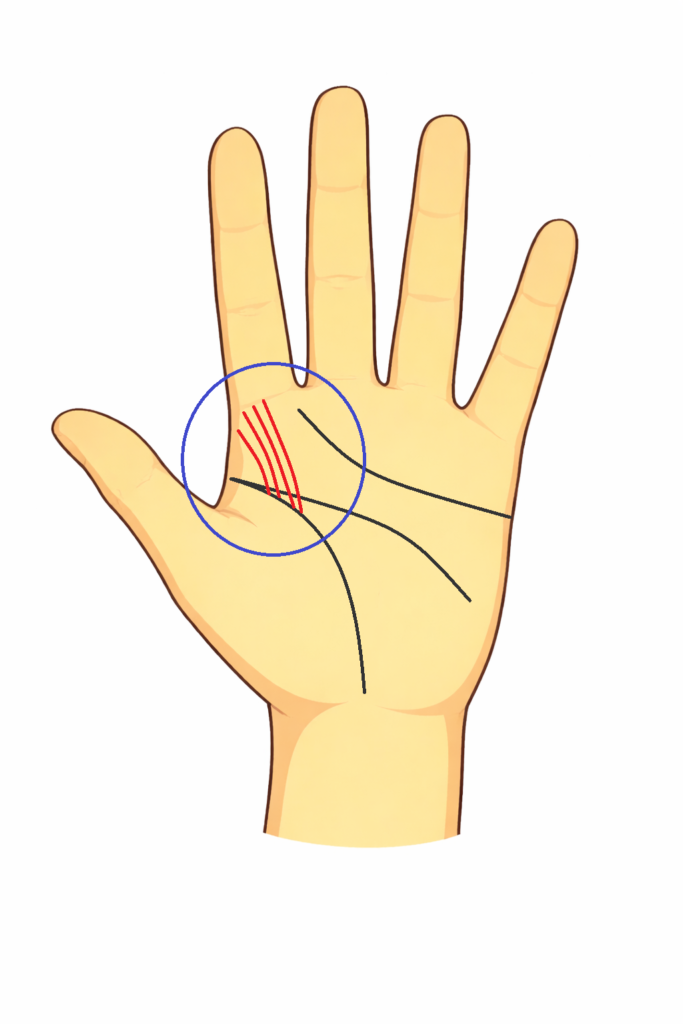 努力線が多い人の手相について解説する画像です。