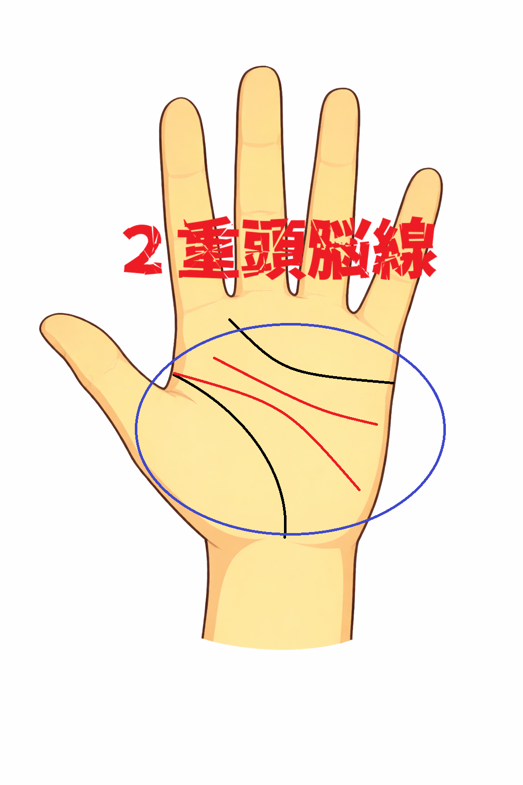 ２重頭脳線の手相の解説記事の画像