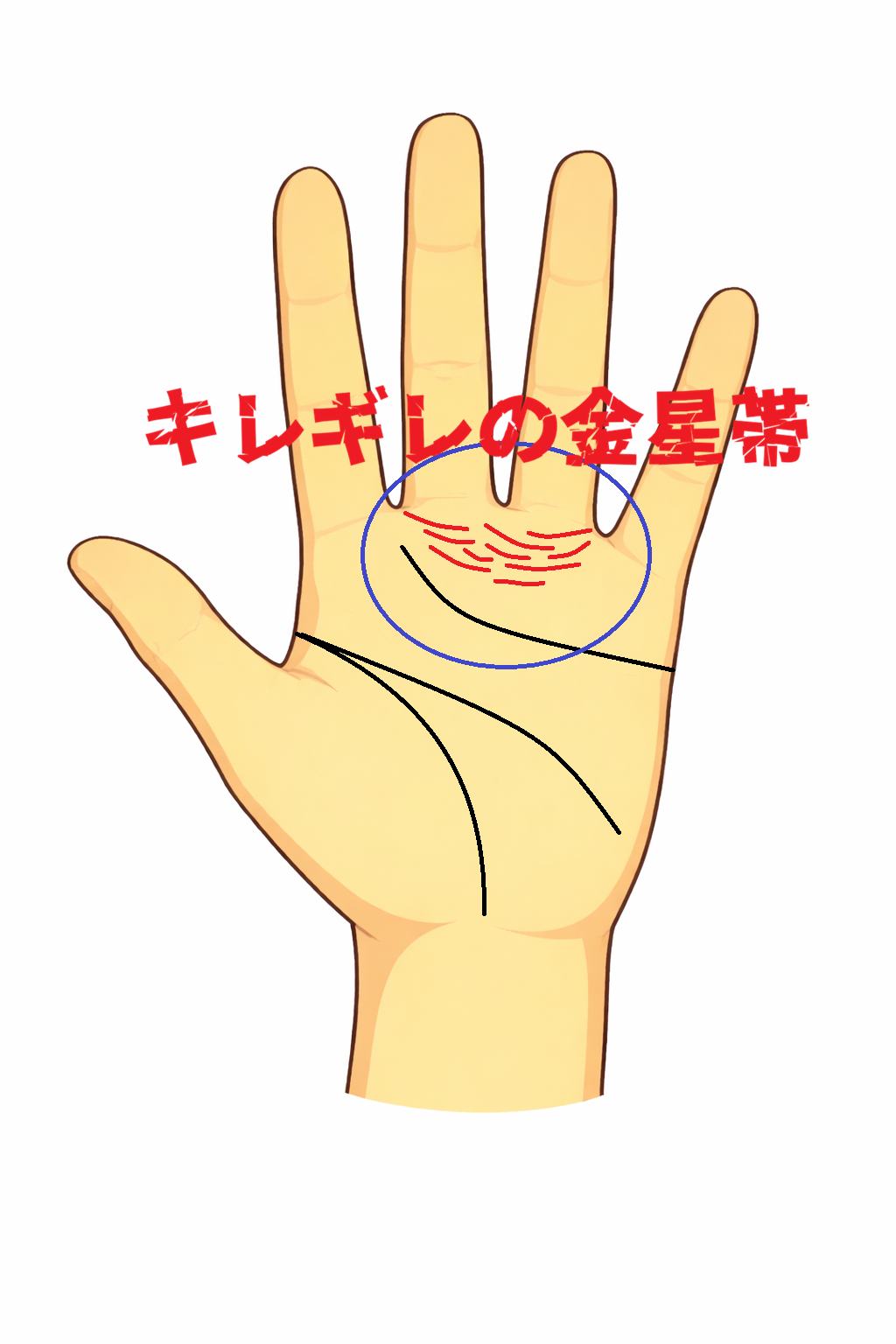 中指と薬指の下に切れ切れの金星帯が複数現れる手相