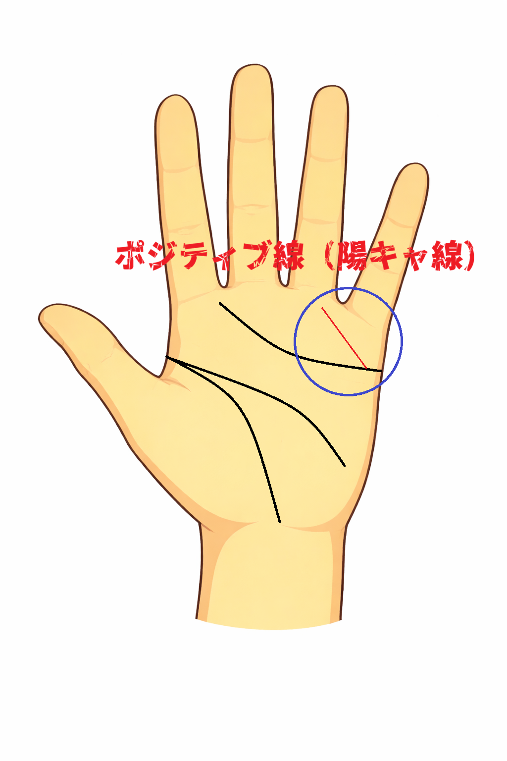 感情線の始点から薬指方向へ伸びるポジティブ線・陽キャ線