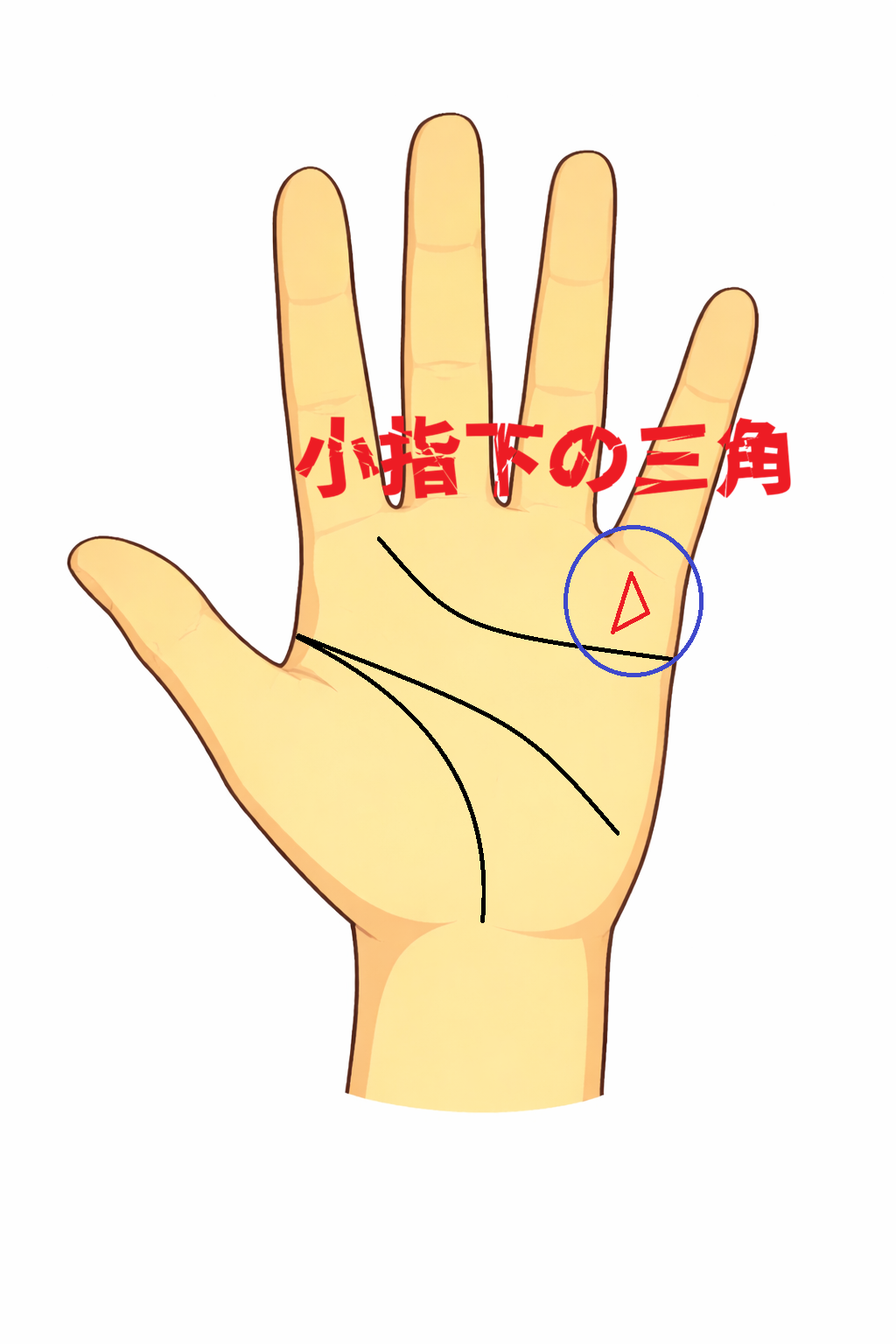 小指の下の水星丘に三角紋がある商才と実行力を示す手相