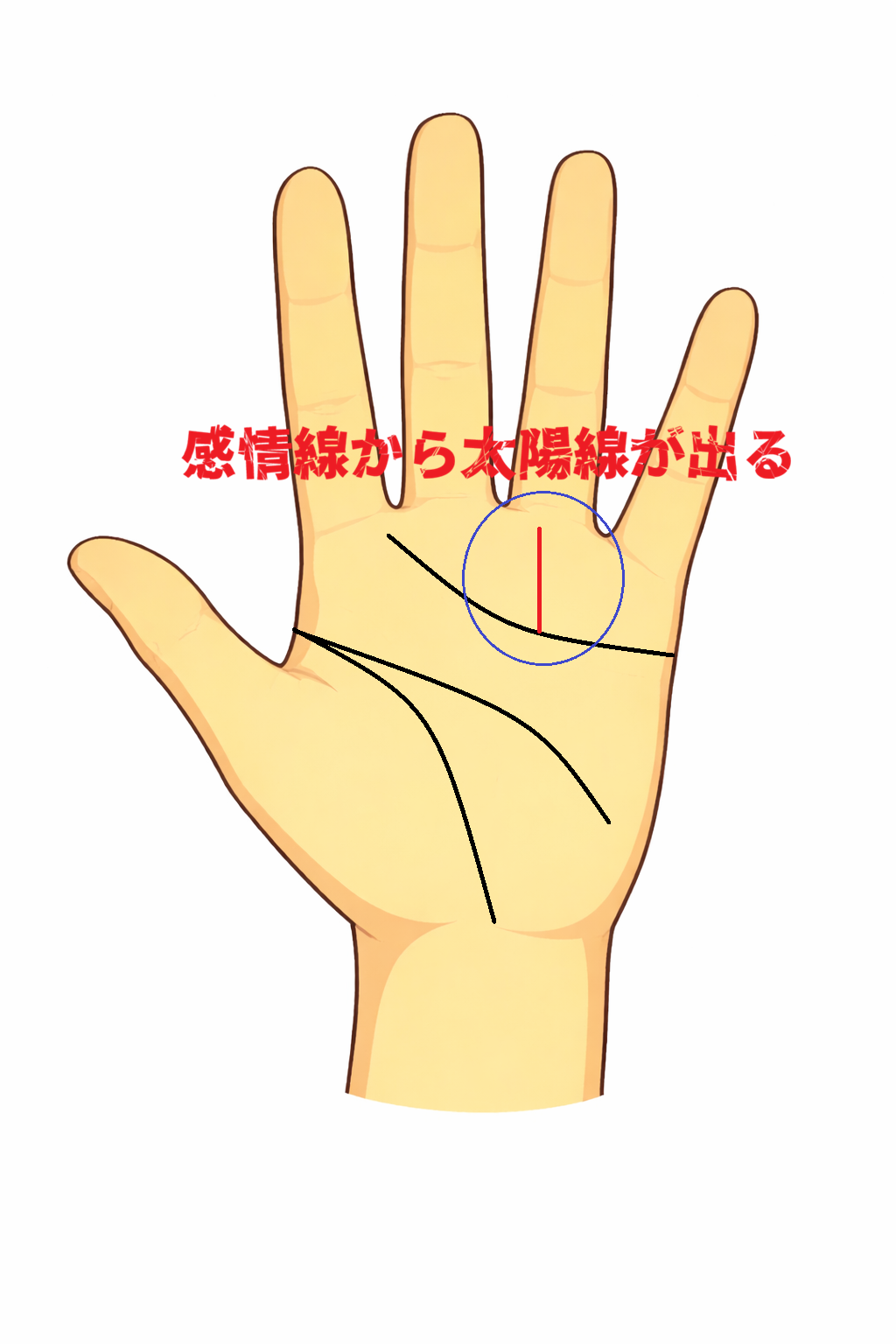 感情線から薬指へ太陽線が伸びる堅実な手相
