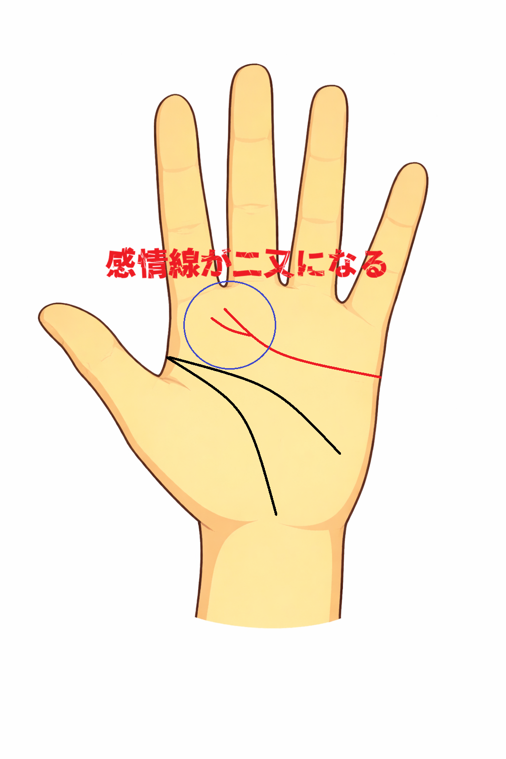 感情線の終点が二又に枝分かれする手相