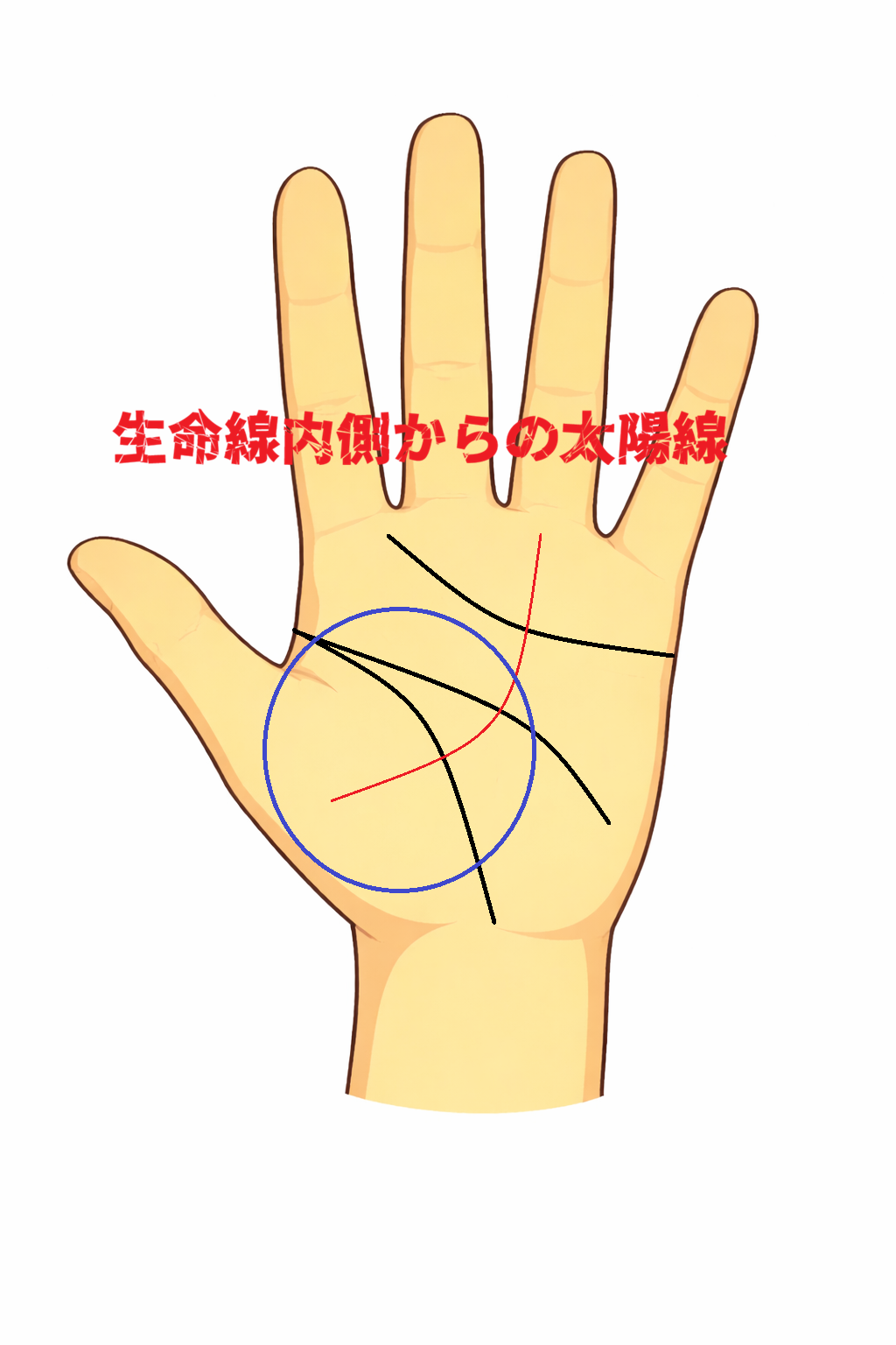 生命線の内側から生命線を越えて太陽線が伸びる手相