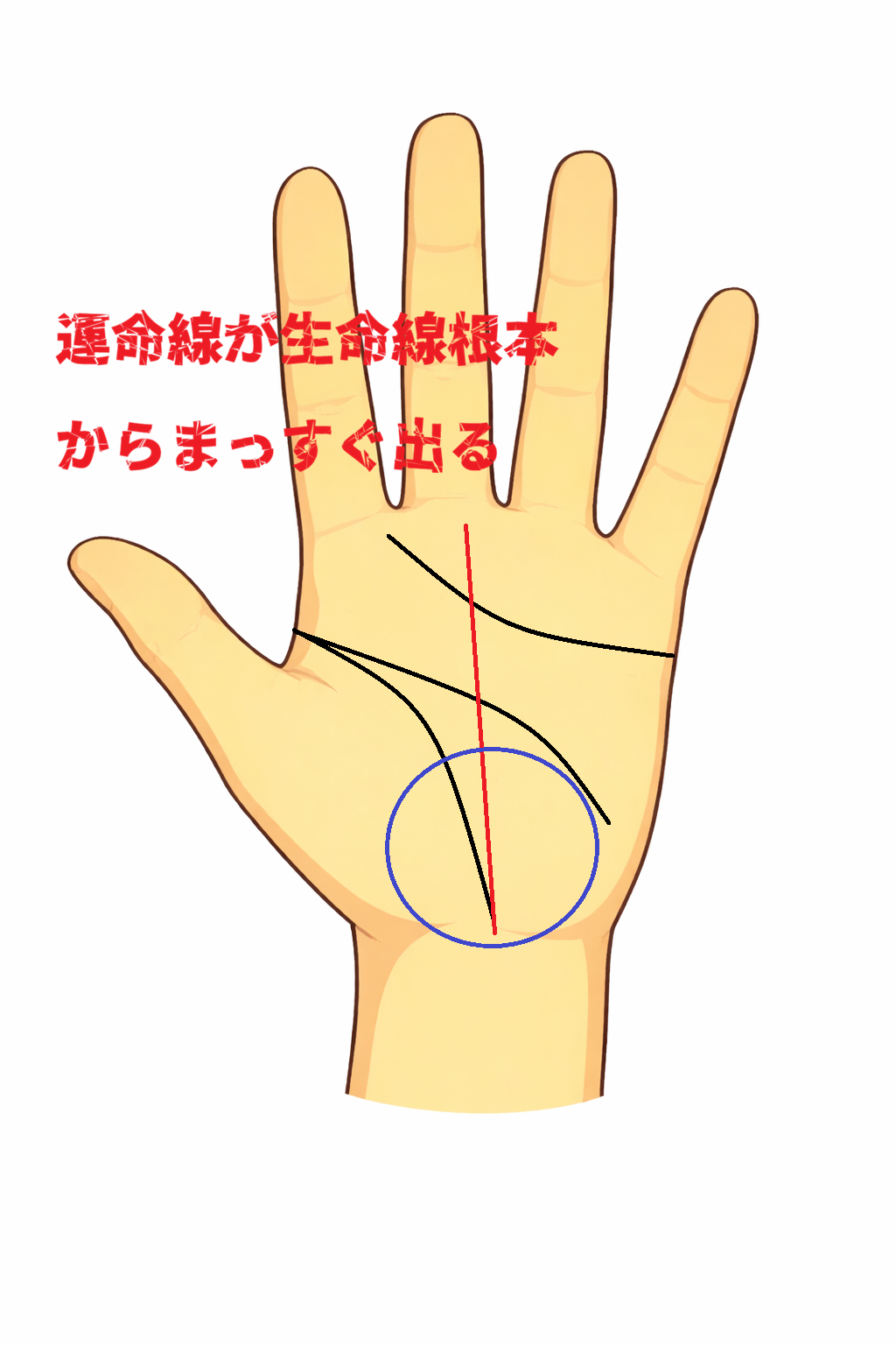 生命線の根本から運命線がまっすぐ伸びる手相