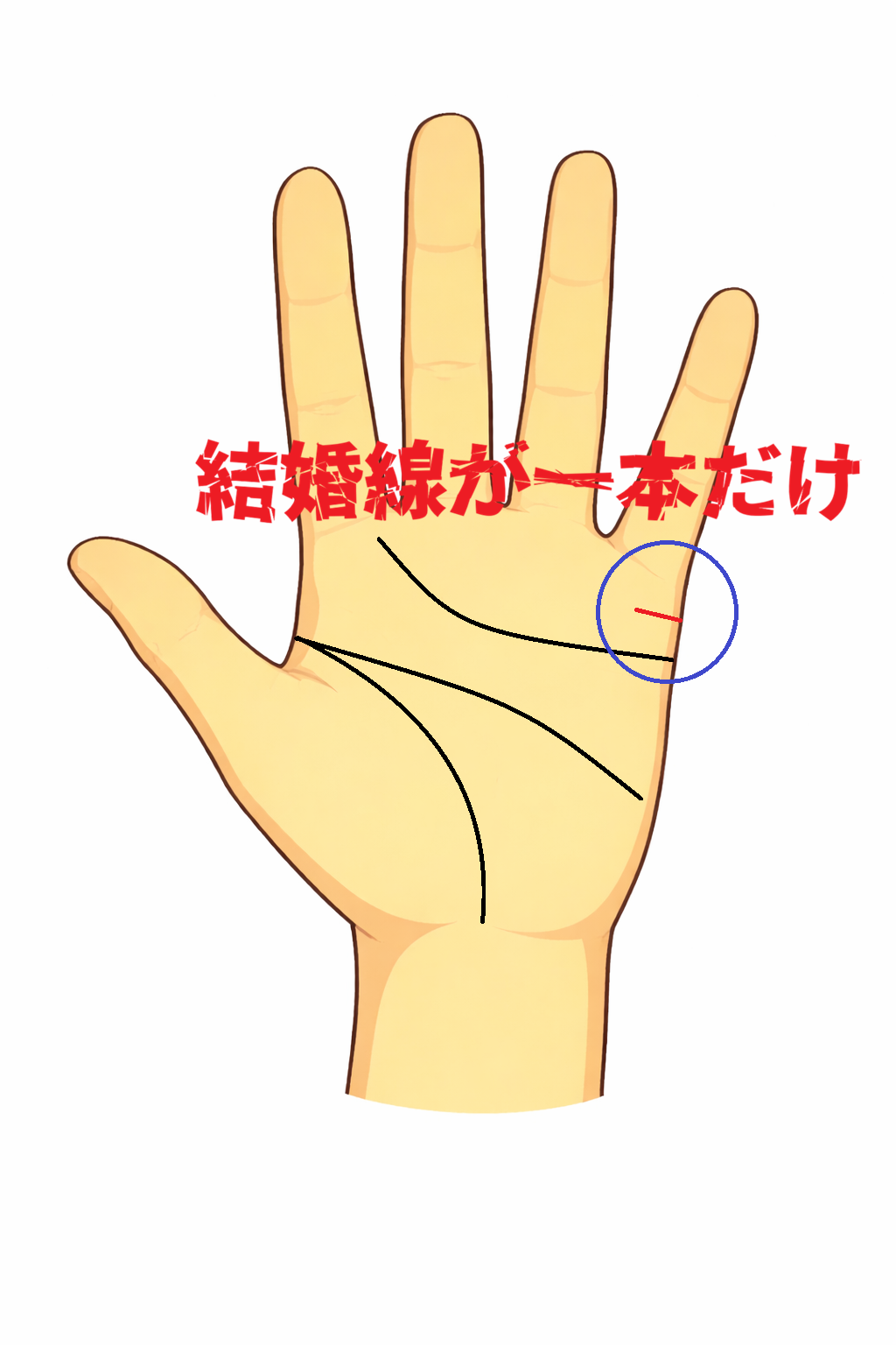 小指の下に結婚線が一本だけ刻まれる手相