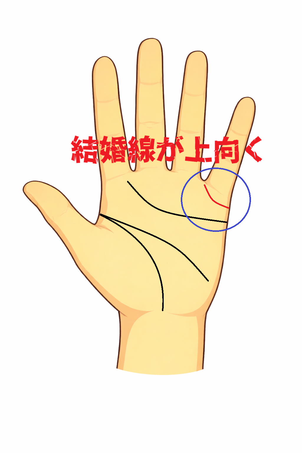 結婚線が緩やかに上向きになる手相