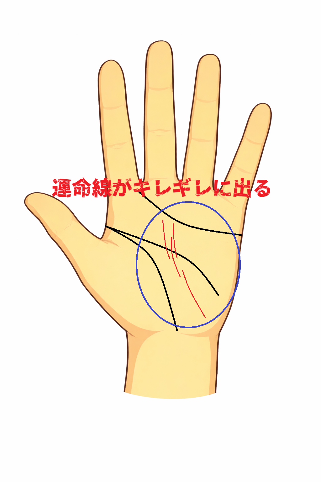 運命線が途切れてキレギレになり自分探しをしている人の手相