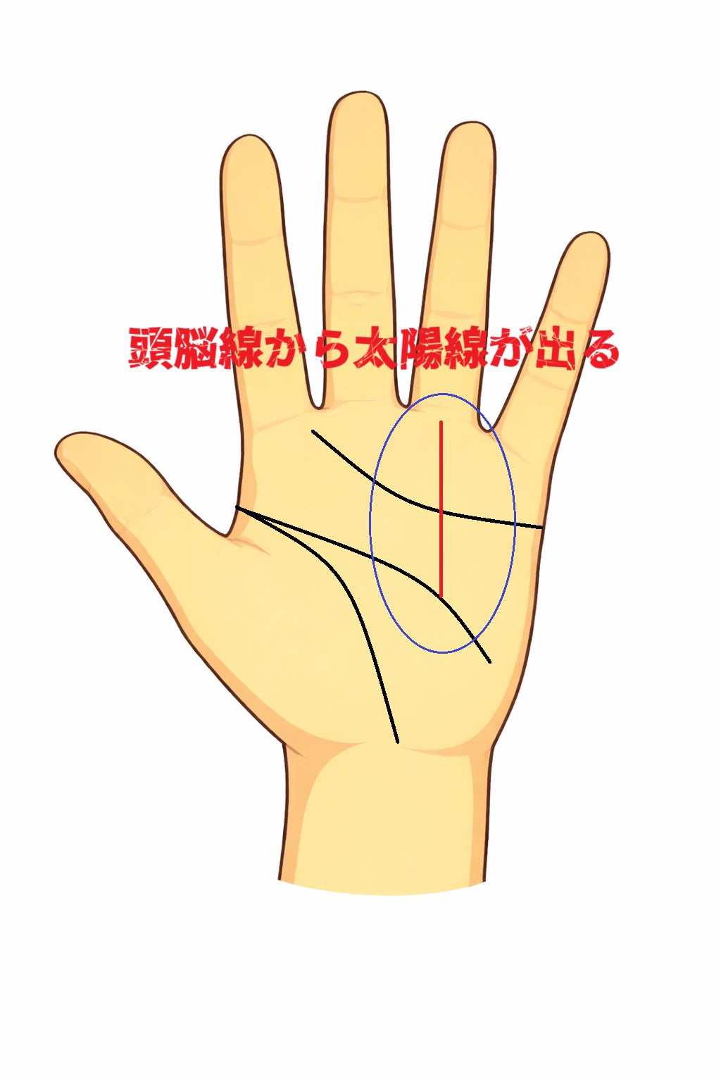 頭脳線から薬指へ太陽線が伸びる知恵のある手相