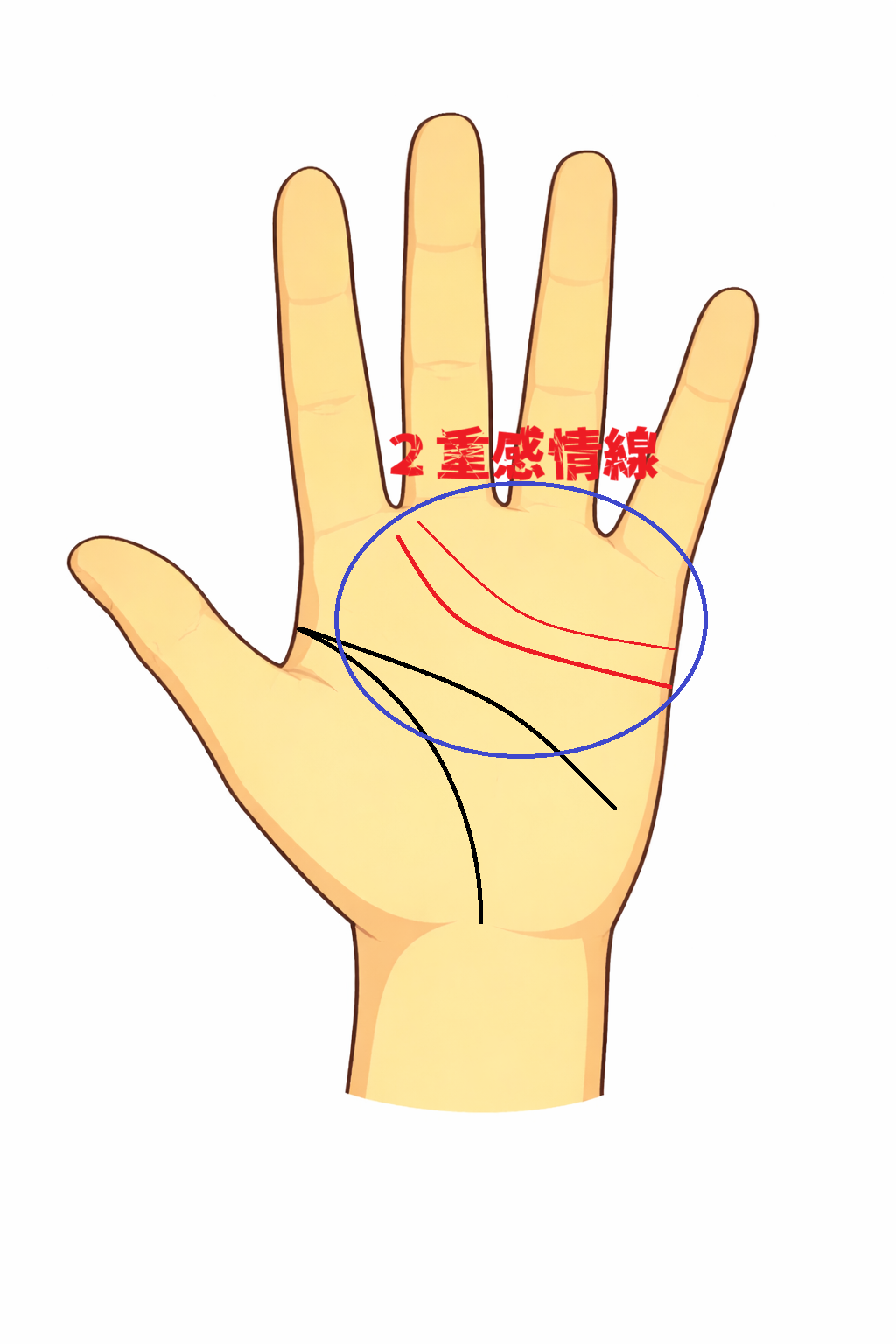 感情線が二本並んで刻まれる二重感情線