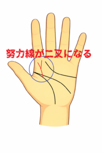 努力線が二又になる手相の意味の解説記事画像