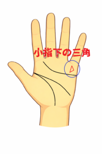 小指下・水星丘の三角紋（トライアングル）について解説した記事の画像