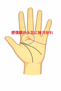 感情線が３又に枝分かれする手相の意味についての解説記事画像