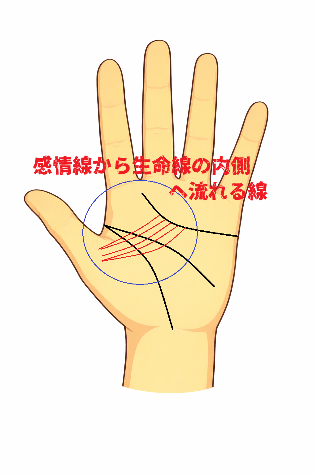 徳の高い手相（感情線から生命線の内側へ流れる線）についての解説記事画像
