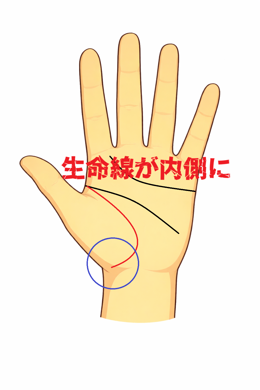 生命線が内側に伸びる手相についての解説記事画像