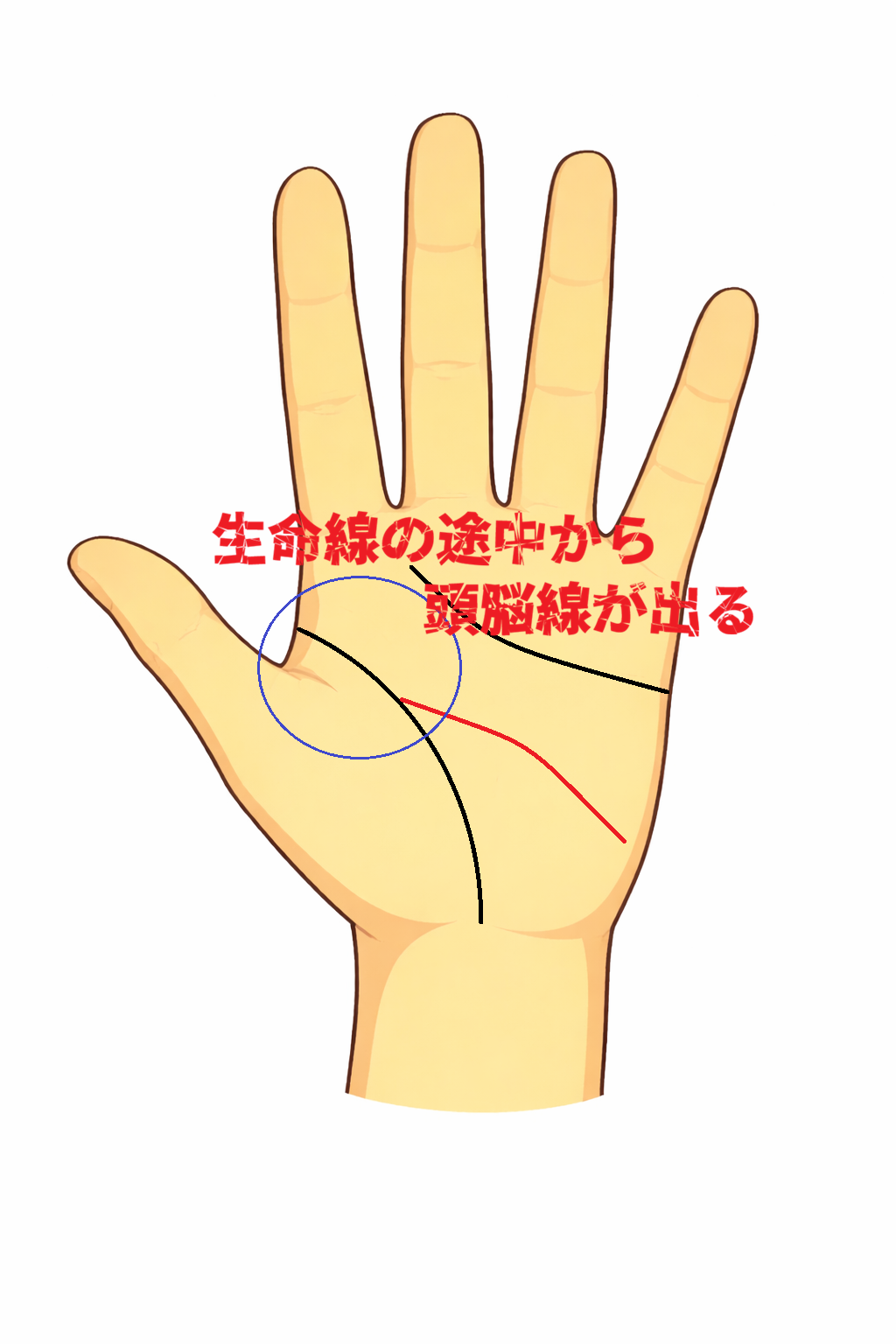 生命線の途中から頭脳線が出る手相について解説した記事画像