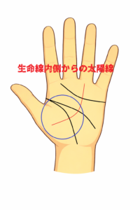 生命線内側から太陽線が伸びる手相の意味について解説している記事画像