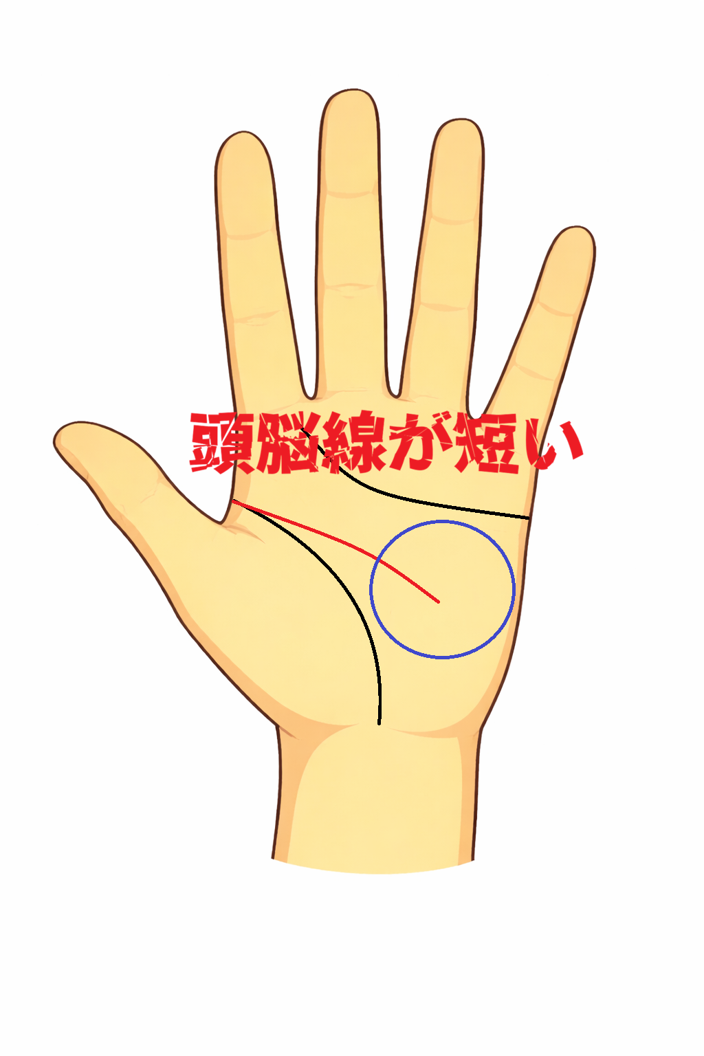 頭脳線が短い人の特徴や性格などを解説した記事の画像