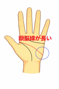 頭脳線が長い手相の解説画像