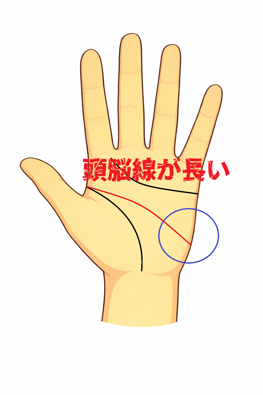 頭脳線が長い手相の解説画像