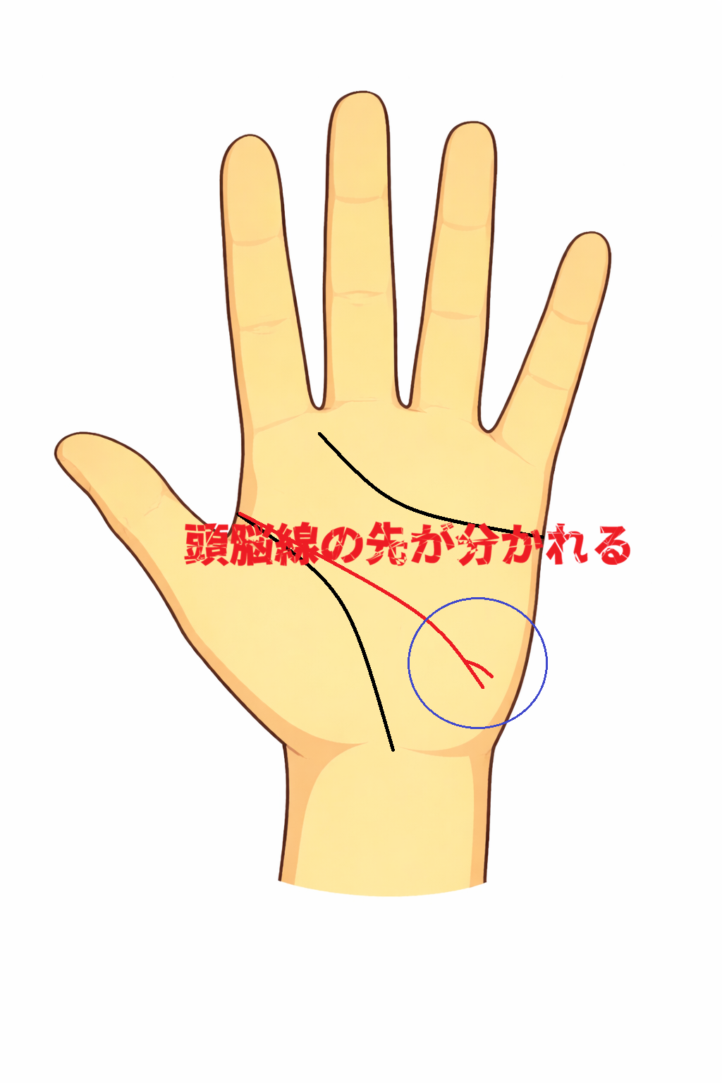 頭脳線の先が小さく二又に枝分かれする手相（ライターズフォーク）の解説記事画像