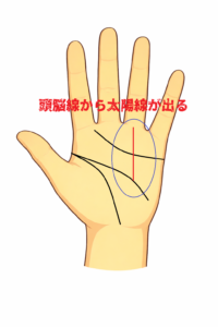 頭脳線から太陽線が出る手相についての解説記事画像