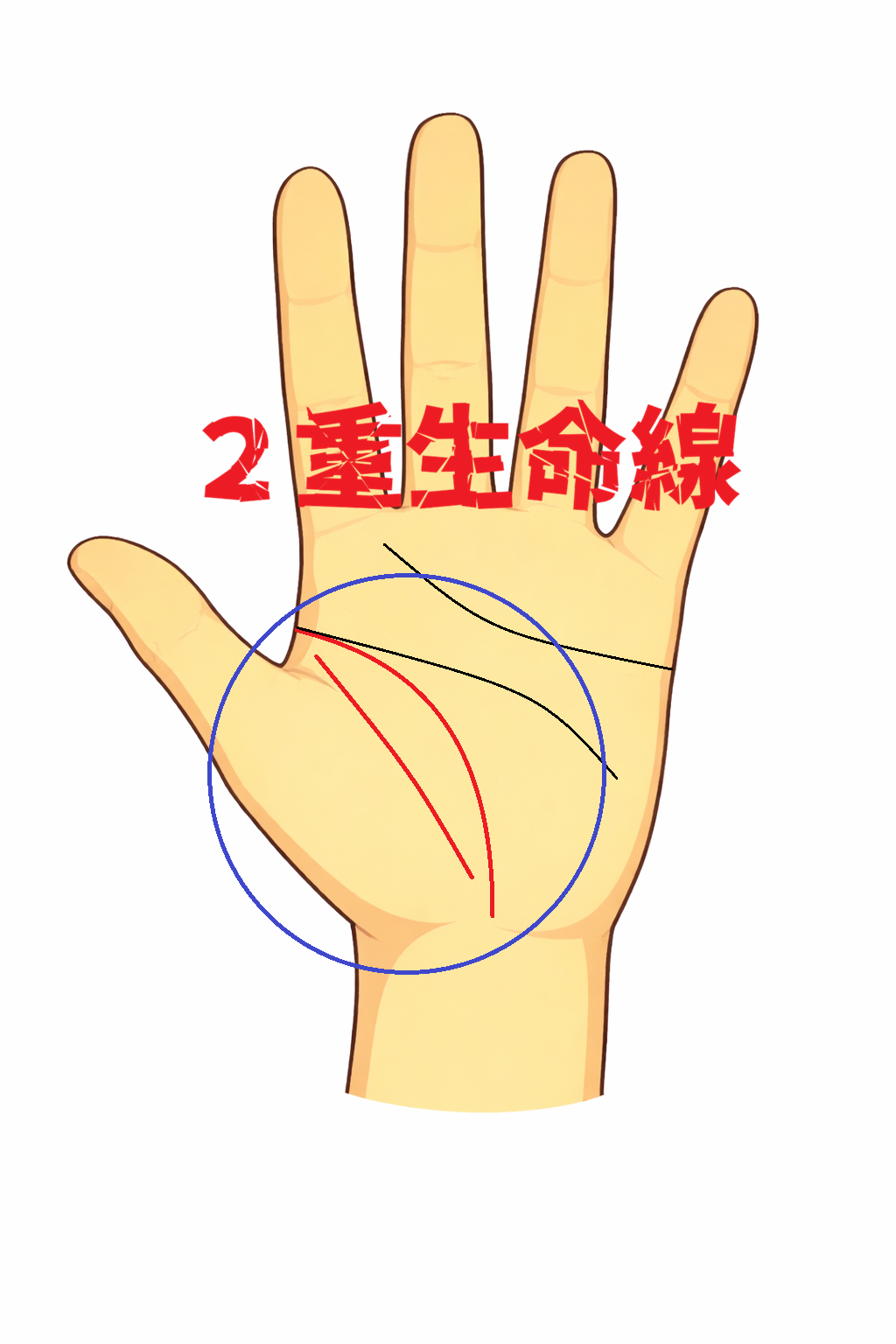 ２重生命線を持つ人の特徴を解説した記事の画像
