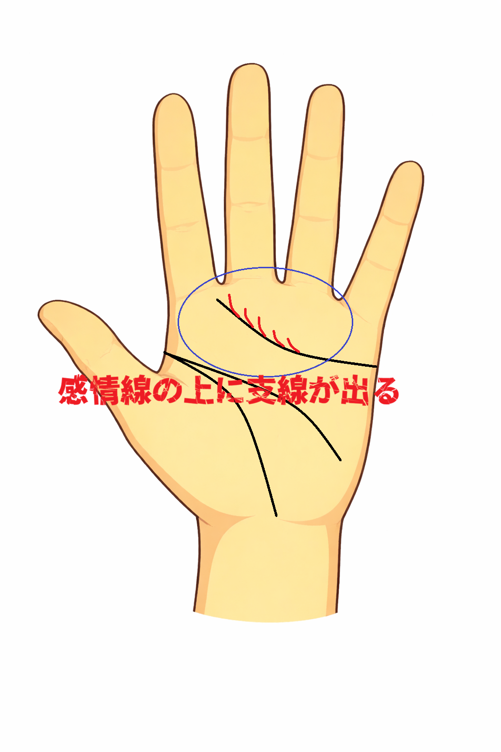 感情線の上に複数の上向き支線が出る積極性の高いモテ手相