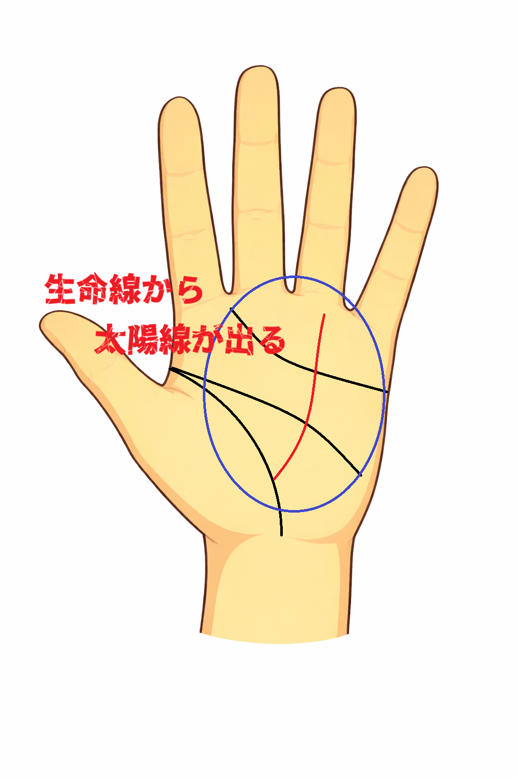 生命線の後半部分から薬指へ太陽線が伸びる手相