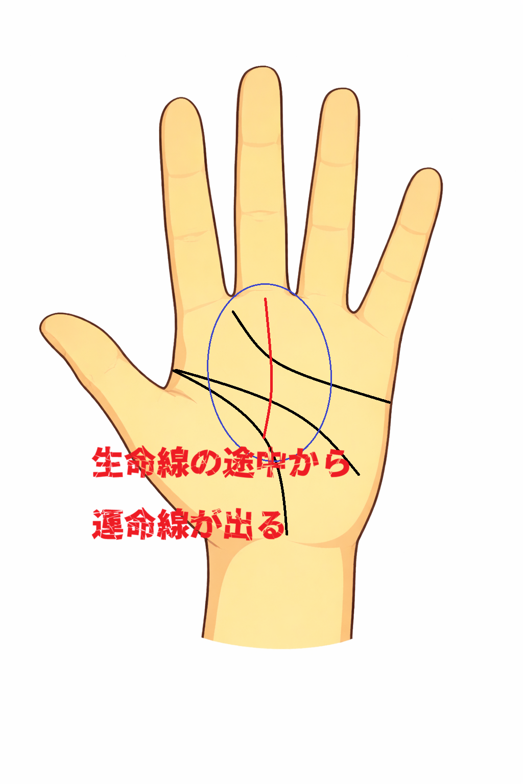 生命線の途中から運命線が伸びる手相