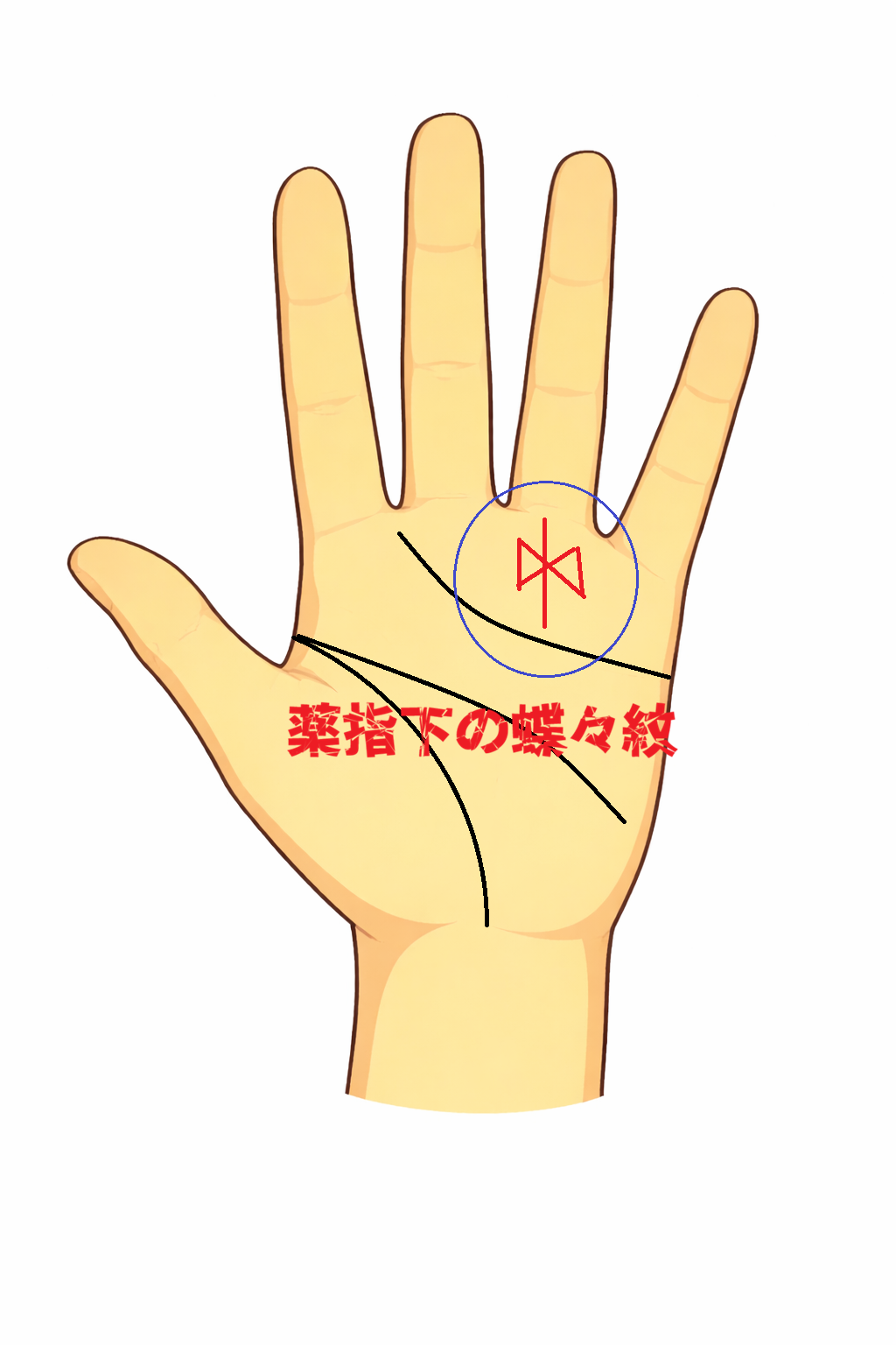 薬指下に二つの三角形が蝶のように現れる蝶々紋