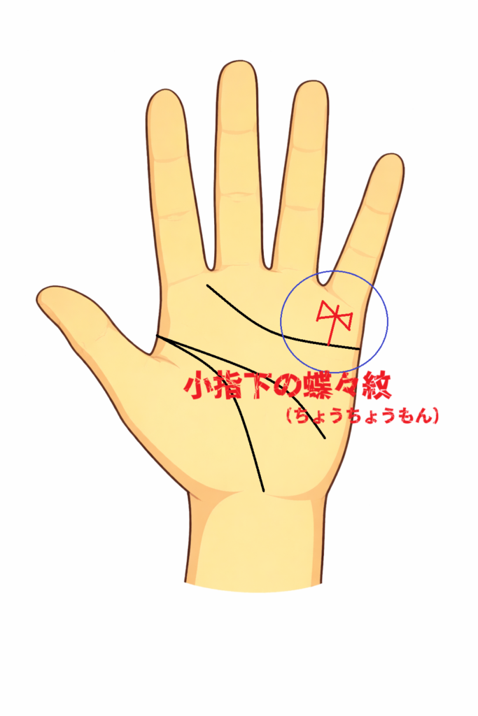 小指下（水星丘）に蝶々紋が出る手相についての解説記事画像