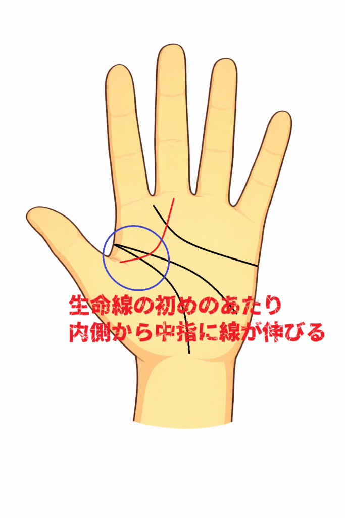 生命線の内側から中指に伸びる手相（高尚線、スポンサー線）についての解説記事画像