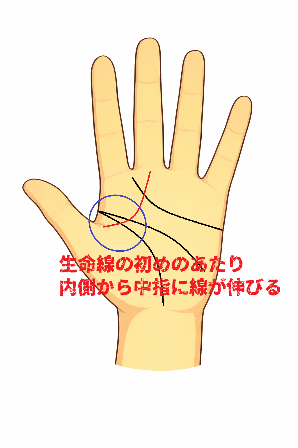 生命線の内側から中指に伸びる手相（高尚線、スポンサー線）についての解説記事画像