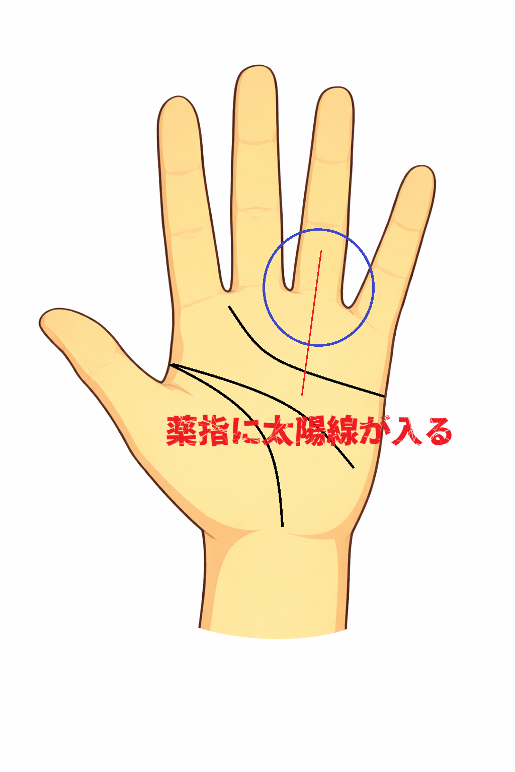 薬指に太陽線が入る・薬指まで太陽線が伸びる手相についての解説記事画像