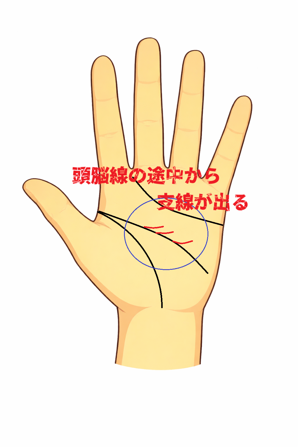 頭脳線の途中からの支線の意味について書いた解説記事画像