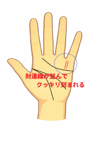財運線が２本並んで濃く刻まれる手相についての解説記事画像です。