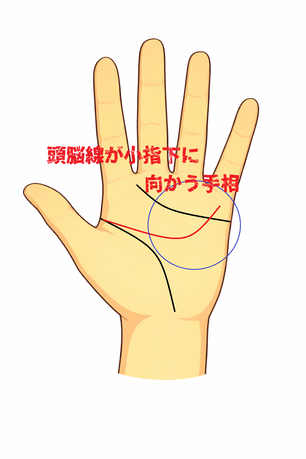 小指下に向かう頭脳線の意味について解説した記事画像